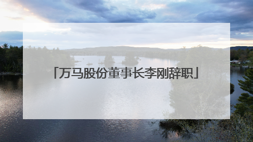 万马股份董事长李刚辞职