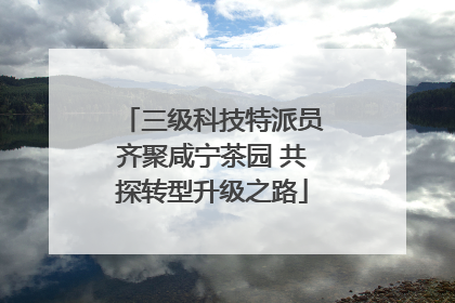 三级科技特派员齐聚咸宁茶园 共探转型升级之路
