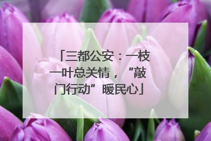 三都公安：一枝一叶总关情，“敲门行动”暖民心