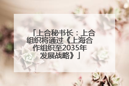 上合秘书长：上合组织将通过《上海合作组织至2035年发展战略》