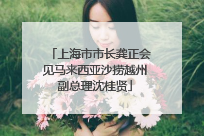 上海市市长龚正会见马来西亚沙捞越州副总理沈桂贤