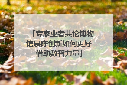 专家业者共论博物馆展陈创新如何更好借助数智力量