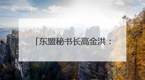 东盟秘书长高金洪：RCEP是区域经济一体化的关键支柱