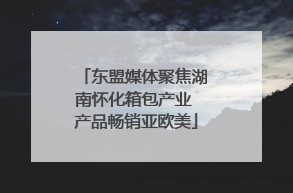 东盟媒体聚焦湖南怀化箱包产业 产品畅销亚欧美