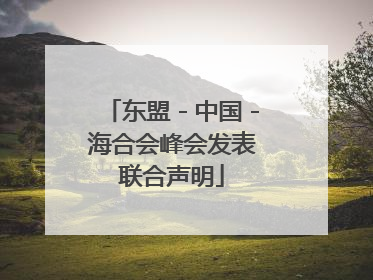 东盟－中国－海合会峰会发表联合声明