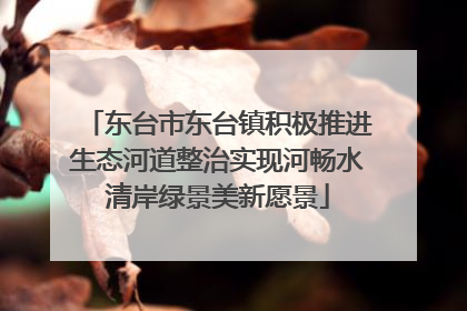 东台市东台镇积极推进生态河道整治实现河畅水清岸绿景美新愿景