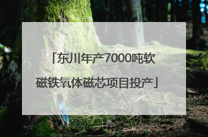 东川年产7000吨软磁铁氧体磁芯项目投产
