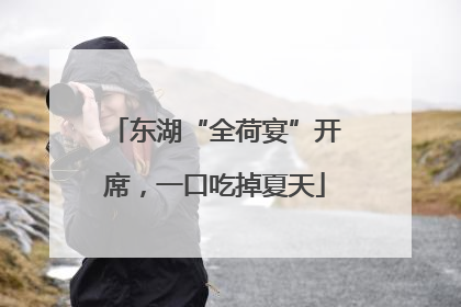 东湖“全荷宴”开席，一口吃掉夏天