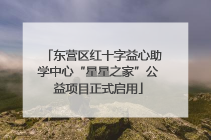 东营区红十字益心助学中心“星星之家”公益项目正式启用