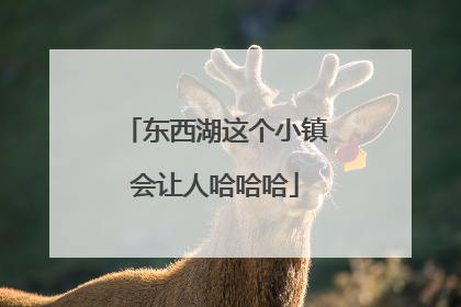 东西湖这个小镇会让人哈哈哈