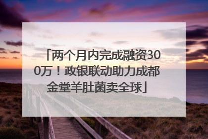 两个月内完成融资300万！政银联动助力成都金堂羊肚菌卖全球