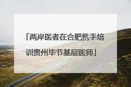 两岸医者在合肥携手培训贵州毕节基层医师