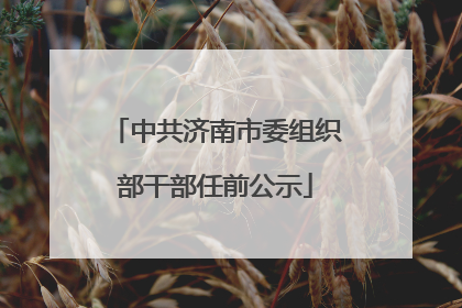 中共济南市委组织部干部任前公示