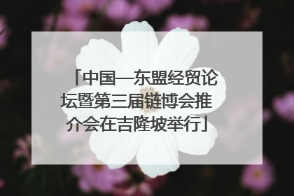 中国—东盟经贸论坛暨第三届链博会推介会在吉隆坡举行