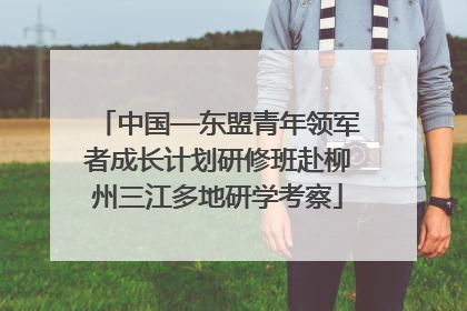 中国—东盟青年领军者成长计划研修班赴柳州三江多地研学考察