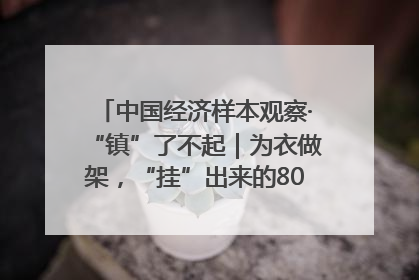 中国经济样本观察·“镇”了不起｜为衣做架，“挂”出来的80亿元“衣架产业”