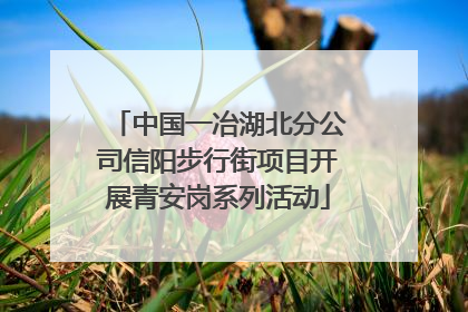 中国一冶湖北分公司信阳步行街项目开展青安岗系列活动
