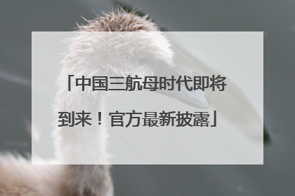 中国三航母时代即将到来！官方最新披露