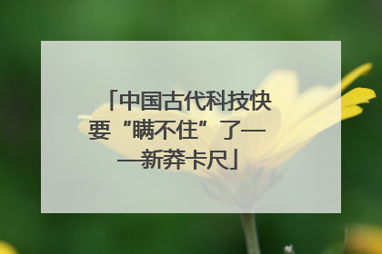 中国古代科技快要“瞒不住”了——新莽卡尺