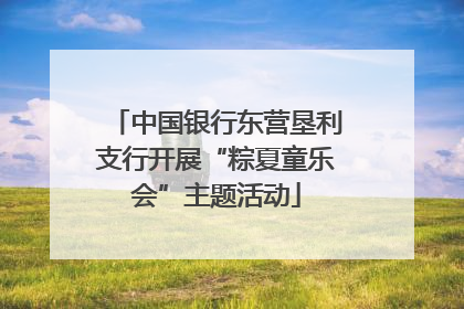 中国银行东营垦利支行开展“粽夏童乐会”主题活动