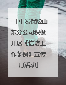 中宏保险山东分公司积极开展《信访工作条例》宣传月活动
