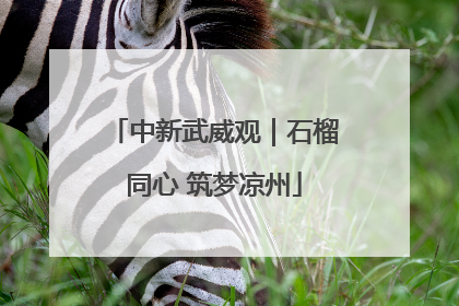 中新武威观｜石榴同心 筑梦凉州