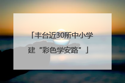 丰台近30所中小学建“彩色学安路”