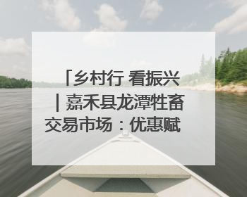 乡村行 看振兴｜嘉禾县龙潭牲畜交易市场：优惠赋能促交易 乡村振兴添动能