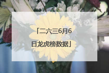 二六三6月6日龙虎榜数据