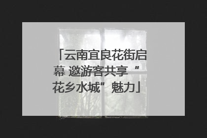 云南宜良花街启幕 邀游客共享“花乡水城”魅力