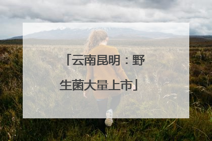 云南昆明：野生菌大量上市