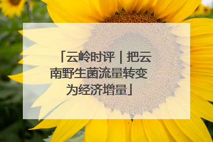 云岭时评｜把云南野生菌流量转变为经济增量