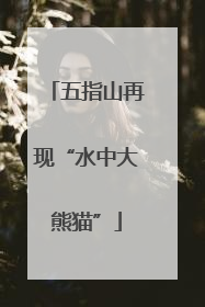 五指山再现“水中大熊猫”