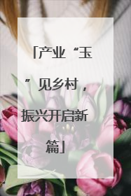 产业“玉”见乡村，振兴开启新篇