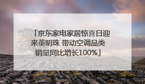 京东家电家居惊喜日迎来董明珠 带动空调品类销量同比增长100%