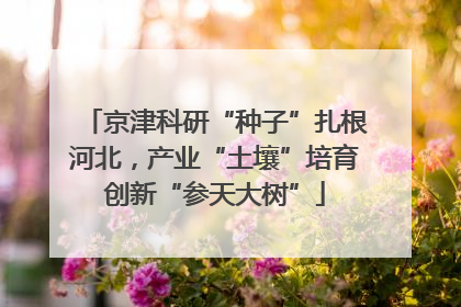 京津科研“种子”扎根河北，产业“土壤”培育创新“参天大树”