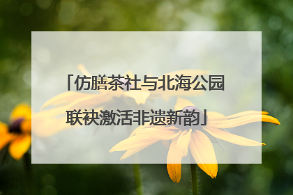 仿膳茶社与北海公园联袂激活非遗新韵