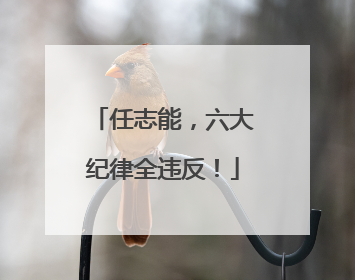 任志能，六大纪律全违反！