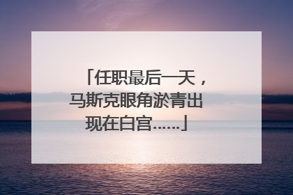 任职最后一天，马斯克眼角淤青出现在白宫……