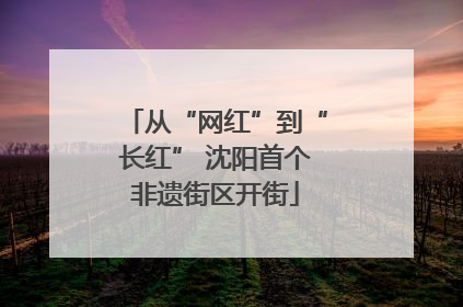 从“网红”到“长红” 沈阳首个非遗街区开街