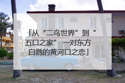 从“二鸟世界”到“五口之家” 一对东方白鹳的黄河口之恋