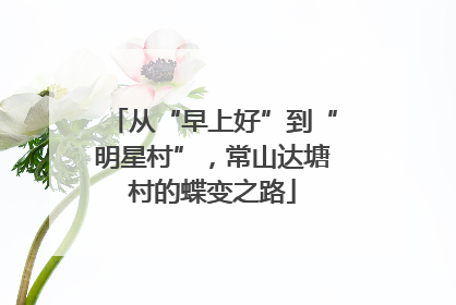 从“早上好”到“明星村”，常山达塘村的蝶变之路