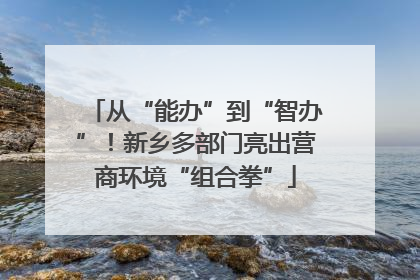 从“能办”到“智办”！新乡多部门亮出营商环境“组合拳”