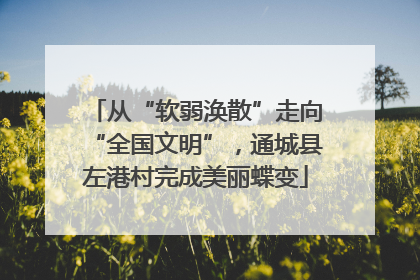 从“软弱涣散”走向“全国文明”，通城县左港村完成美丽蝶变