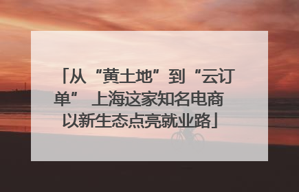 从“黄土地”到“云订单” 上海这家知名电商以新生态点亮就业路