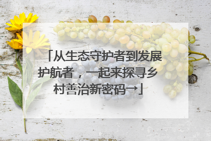 从生态守护者到发展护航者，一起来探寻乡村善治新密码→