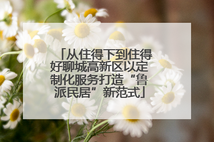 从住得下到住得好聊城高新区以定制化服务打造“鲁派民居”新范式