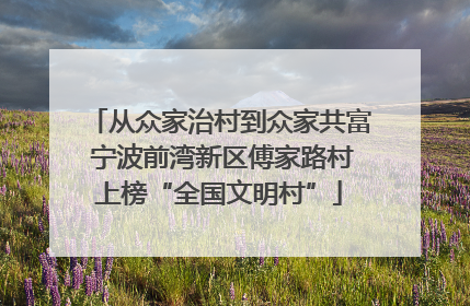 从众家治村到众家共富 宁波前湾新区傅家路村上榜“全国文明村”