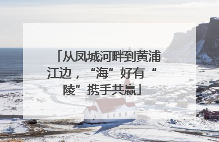从凤城河畔到黄浦江边，“海”好有“陵”携手共赢