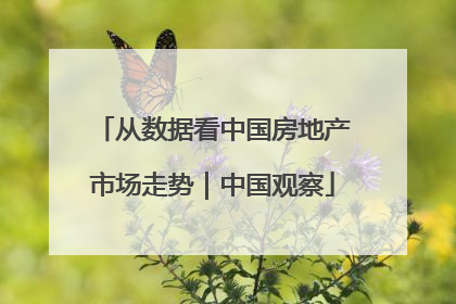 从数据看中国房地产市场走势｜中国观察